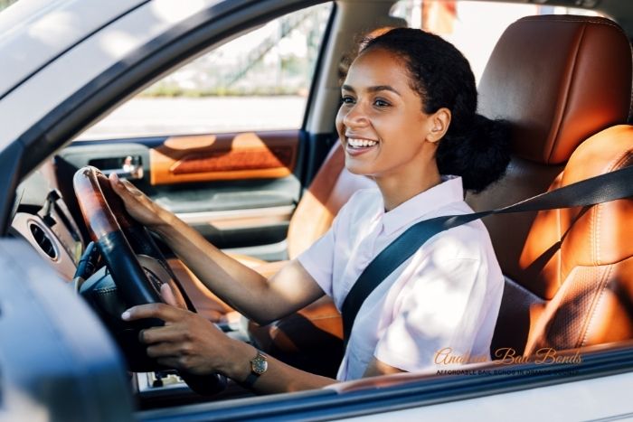 ignoring-and-disobeying-california-traffic-signals